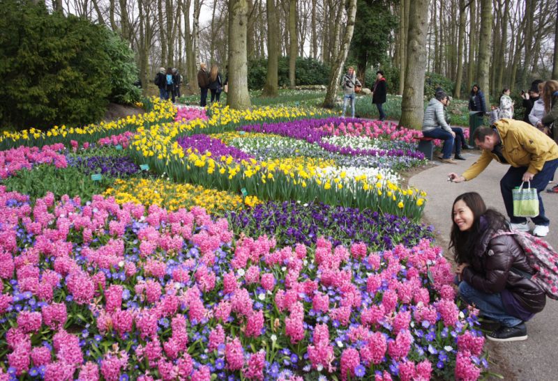 Keukenhof