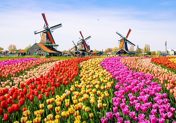 Keukenhof