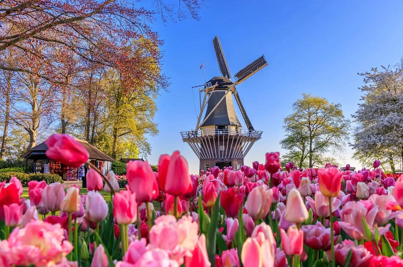 keukenhof-ticket-amsterdam-product
