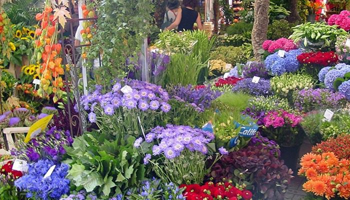 Mercado das Flores de Amesterdão