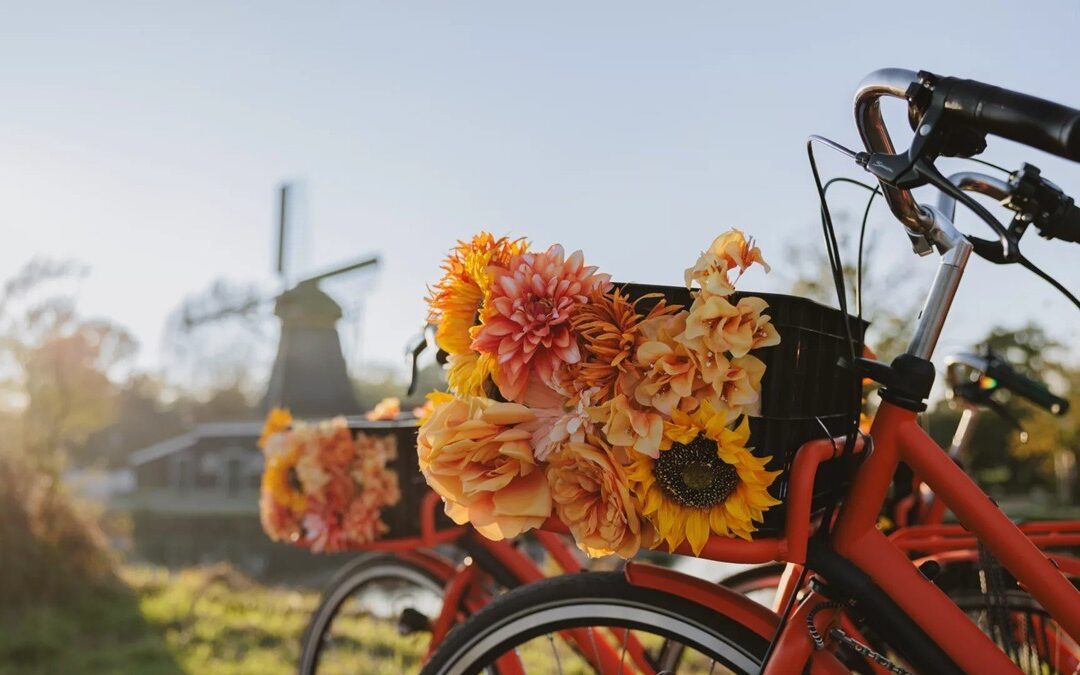 Passeio de bicicleta de aventura pelo interior da Holanda