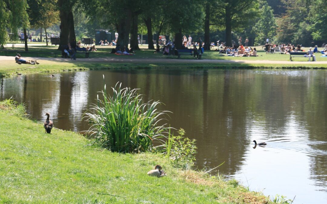 Passeio privado de bicicleta pelos parques verdes de Amesterdão