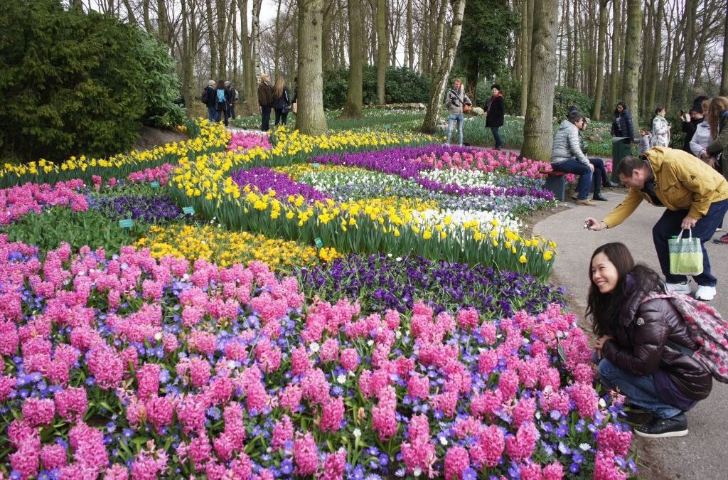 Keukenhof